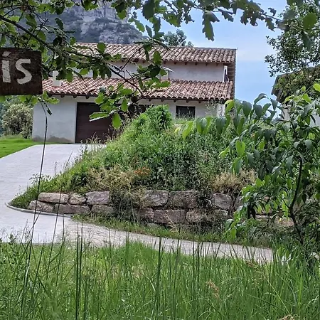 Pujolís